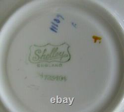 Shelley Queen Anne My Garden Teacup and Saucer Set England Fine Bone China