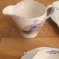 Shelly Wild Flowers Bone China, 21 Pieces Tea Set, England