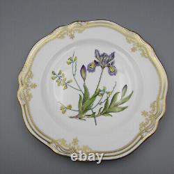 Spode Bone China STAFFORD FLOWERS Dinner Plates Set of Two