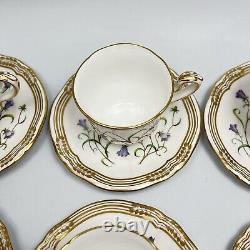 Spode Campanula Demitasse Espresso 8 Sets Blue Wildflowers Bone China England