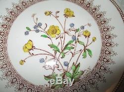 Spode Copeland England Buttercup 40 Pc China Set Brown Yellow. Never used