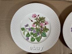 Spode Fine Bone China England Wildflower Dinner Plates complete set of 6/ 9-inch