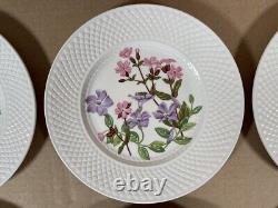 Spode Fine Bone China England Wildflower Dinner Plates complete set of 6/ 9-inch