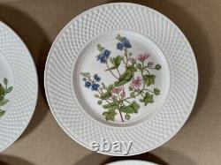 Spode Fine Bone China England Wildflower Dinner Plates complete set of 6/ 9-inch