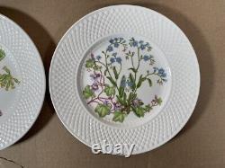 Spode Fine Bone China England Wildflower Dinner Plates complete set of 6/ 9-inch