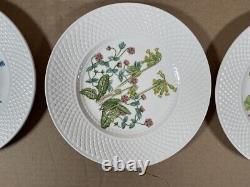 Spode Fine Bone China England Wildflower Dinner Plates complete set of 6/ 9-inch