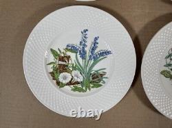 Spode Fine Bone China England Wildflower Dinner Plates complete set of 6/ 9-inch