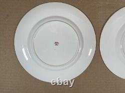 Spode Fine Bone China England Wildflower Dinner Plates complete set of 6/ 9-inch