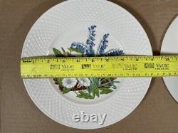 Spode Fine Bone China England Wildflower Dinner Plates complete set of 6/ 9-inch