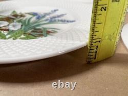 Spode Fine Bone China England Wildflower Dinner Plates complete set of 6/ 9-inch