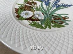 Spode Fine Bone China England Wildflower Dinner Plates complete set of 6/ 9-inch