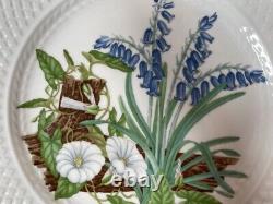 Spode Fine Bone China England Wildflower Dinner Plates complete set of 6/ 9-inch