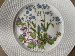 Spode Fine Bone China England Wildflower Dinner Plates complete set of 6/ 9-inch