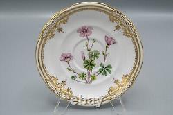 Spode Stafford Flowers Flat Cup & Saucers Set of 12 FREE USA SHIPPING