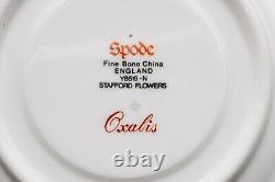 Spode Stafford Flowers Flat Cup & Saucers Set of 12 FREE USA SHIPPING