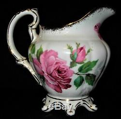Super Rare Royal Stafford Berkeley Rose Bone China Tea Set England