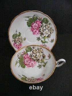 Taylor & Kent England Antique Fine Bone China Tea Cup & Saucer Set