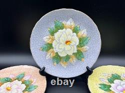 Tuscan C4725 White Flower Different Colour Plates(Set of 4) Bone China England