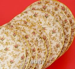 Tuscan Fine English Bone China Set Du Barry Pink Rose, Sevice For 8+
