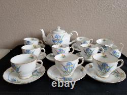 Tuscan bone china England whole blue iris tea set. 20 pieces