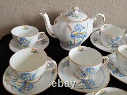 Tuscan bone china England whole blue iris tea set. 20 pieces