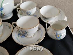 Tuscan bone china England whole blue iris tea set. 20 pieces