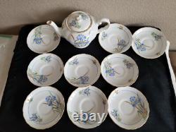 Tuscan bone china England whole blue iris tea set. 20 pieces