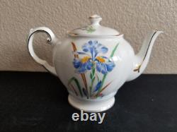 Tuscan bone china England whole blue iris tea set. 20 pieces