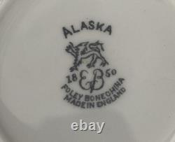 VTG 8 Piece MCM 1950's Tea Set FOLEY English Bone China Alaska Pattern RARE