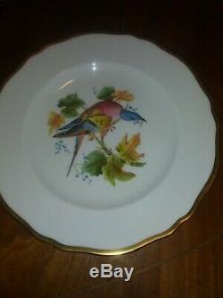 Vintage 8 Plate Copeland Spode England Audubon Birds Set Of 12 Bone China Rare