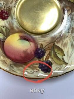 Vintage Aynsley Bone China Hand Painted Cup Saucer Fruit Orchard D Jones N Brunt