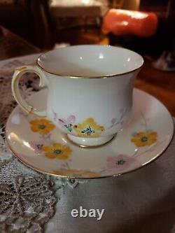 Vintage Paragon By Appt. England Bone China Yellow & Pink Peonies 10 Pc. Tea Set