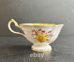 Vintage Queen Anne Bone China England Yellow Daffodils Tea Cup & Saucer Set