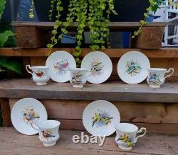 Vintage Royal Dover England Bone China Bird and Flower Tea Cups Set of 5