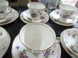 Vintage Salisbury 21 Piece Tea Set Bone China Made In England Violet Pattern