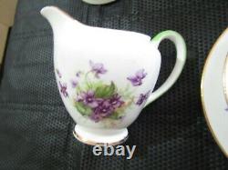 Vintage Salisbury 21 Piece Tea Set Bone China Made In England Violet Pattern