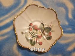 Vintage Salisbury Fragrance Cup & Saucer Bone China England