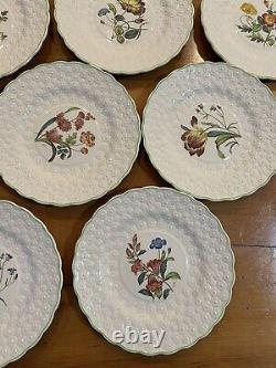 Vintage Spode Copeland England Set of 8 Bermuda Flowers Luncheon Plates China