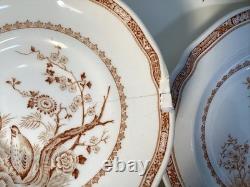 Vintage furnivals quail 1913 brown & white transfer ware 56 piece set