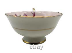 Vtg Paragon Double Warrant Lilac Ribbon Teacup & Saucer Set Bone China England