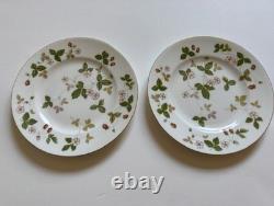 WEDGWOOD 12-Piece WILD STRAWBERRY Bone China Tea Coffee Plates Set