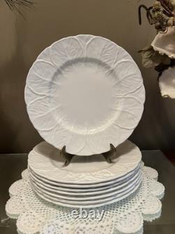 Wedgwood Coalport Countryware Bone China Salad Plates 8-1/8 Cabbage Set Of 8