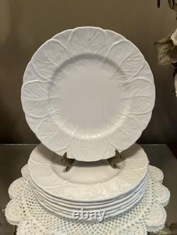 Wedgwood Coalport Countryware Bone China Salad Plates 8-1/8 Cabbage Set Of 8