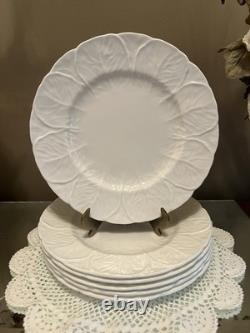 Wedgwood Coalport Countryware Bone China Salad Plates 8-1/8 Cabbage Set Of 8