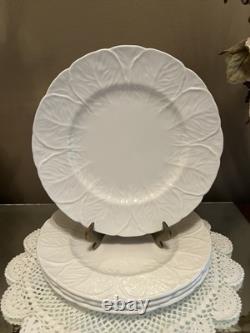 Wedgwood Coalport Countryware Bone China Salad Plates 8-1/8 Cabbage Set Of 8