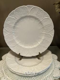 Wedgwood Coalport Countryware Bone China Salad Plates 8-1/8 Cabbage Set Of 8