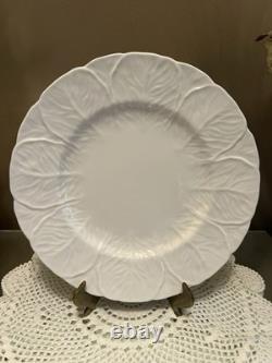 Wedgwood Coalport Countryware Bone China Salad Plates 8-1/8 Cabbage Set Of 8