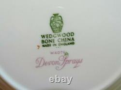 Wedgwood England Set of 9 Devon Sprays Rimmed Soup Bowls -Bone China