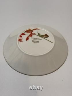 Wedgwood Hummingbird Tea Cup & Saucer Blue Dinnerware England New With Box Lot 2