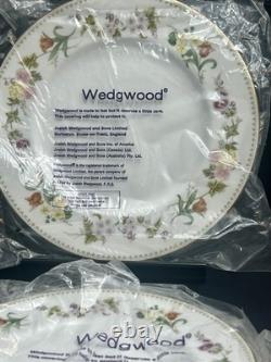 Wedgwood Mirabelle Bone China 12pc Set Gold Trim In Factory Sleeves Mint England